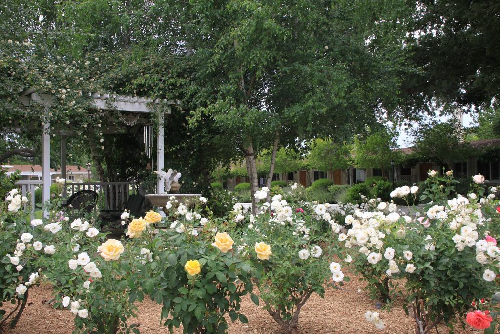Meadowlark Inn Solvang Esterno foto