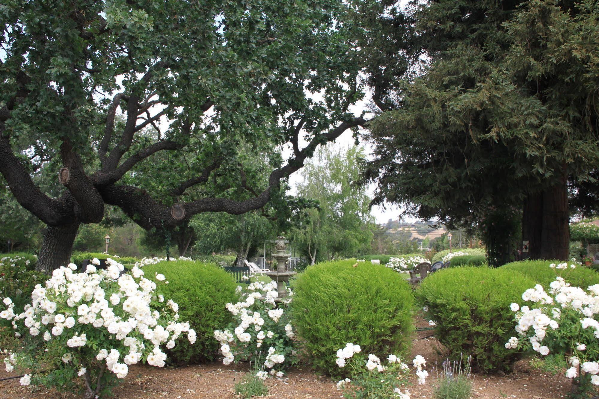 Meadowlark Inn Solvang Esterno foto