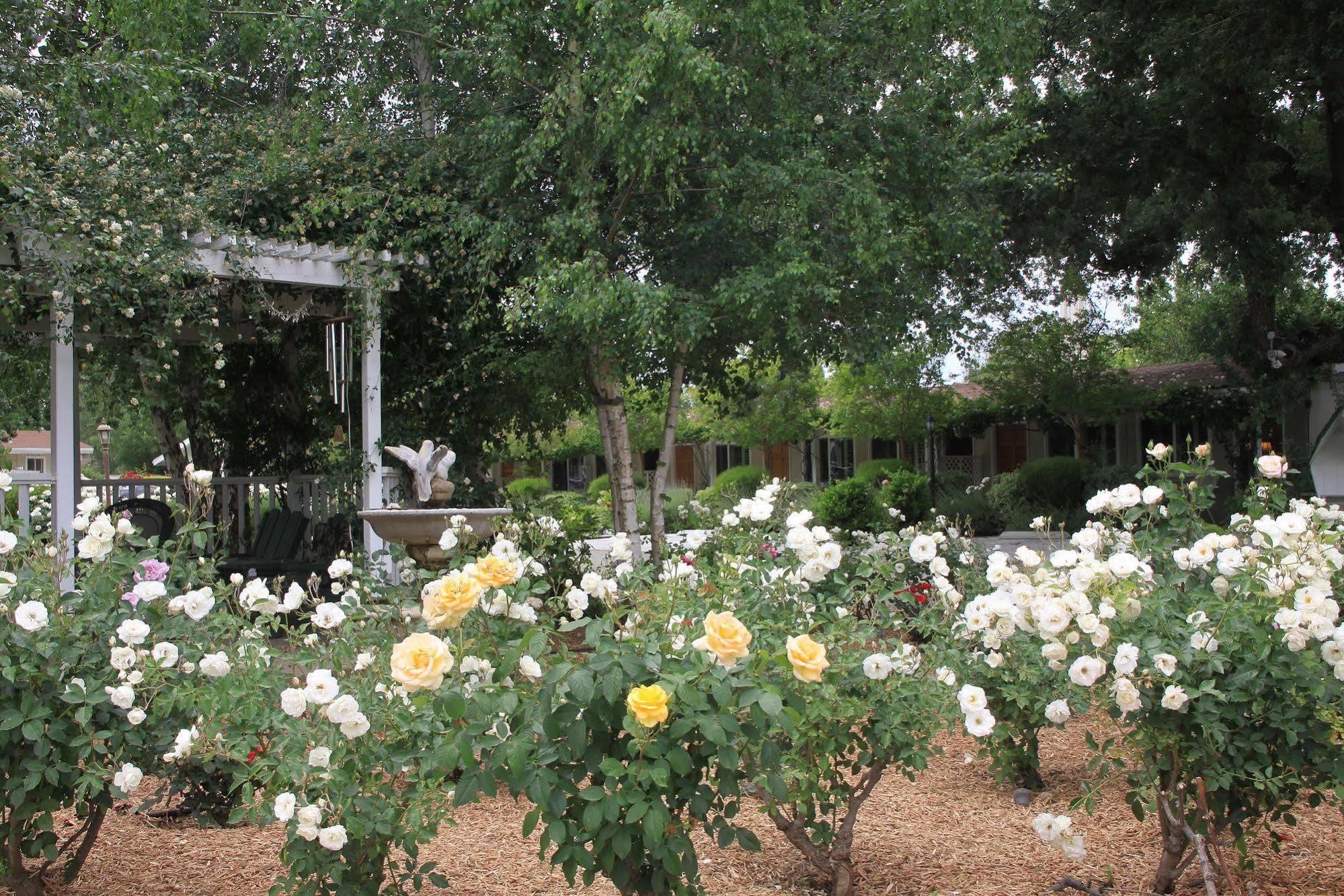 Meadowlark Inn Solvang Esterno foto